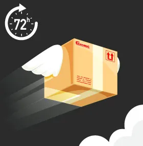 Fast delivery