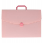 Expanding File Case 