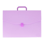 Expanding File Case 