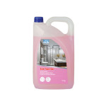 All purpose acidic cleaner San Sanitar 5kg 