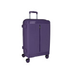 Trolley Case ''Rome 20