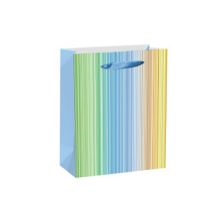 Gift bag ''Classic 12'', M