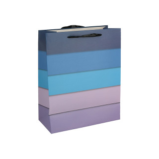 Gift bag ''Rainbow'', L
