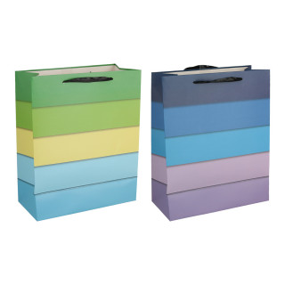 Gift bag ''Rainbow'', L