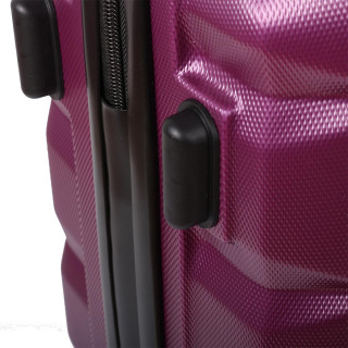 Trolley Case ''Four Seasons 28''