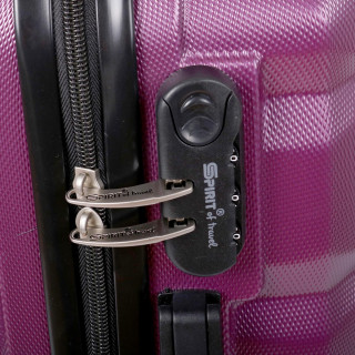 Trolley Case ''Four Seasons 28''