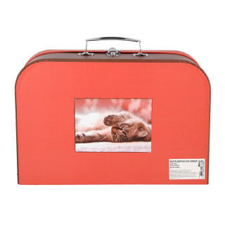 Kids Case