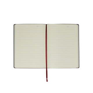 Diary ''MONTE'', B5