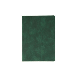 Diary ''MONTE'', B5