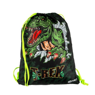 School bag set ''T-REX'' COOL 4-Pcs (Metal buckle) 