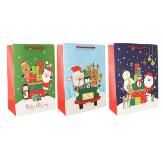 Geschenkatragetaschen 