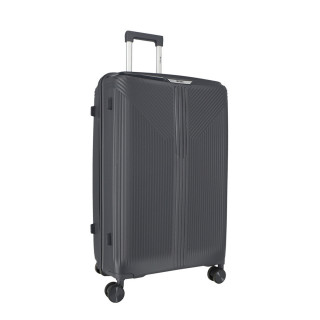 Trolley Case 