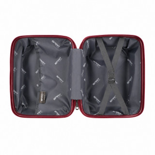 Trolley Case 