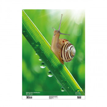 Clip-Fix frame, 30x40cm 