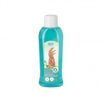 Liquid hand soap with antibacterial effect Sany Green Tea 1L 