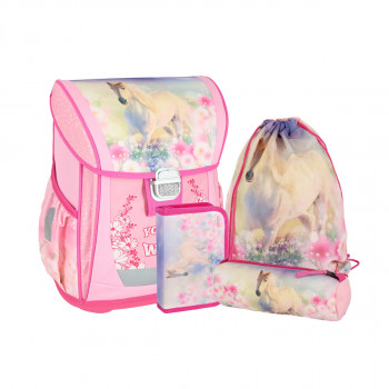 School bag set ''YOUNG AND WILD'' COOL 4-Pcs (Metal buckle) 