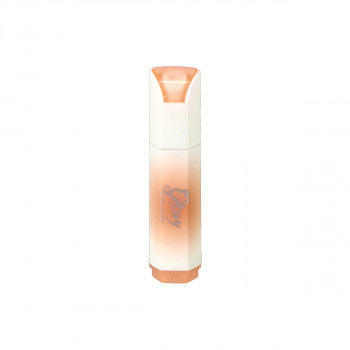 Highlighter Chisel Tip 