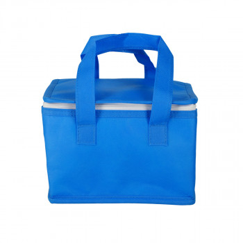 Kühltasche 
