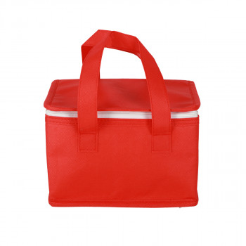 Kühltasche 