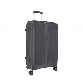 Trolley Case 