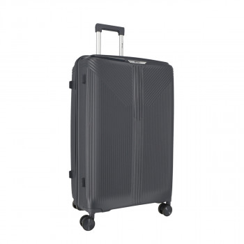 Trolley Case 