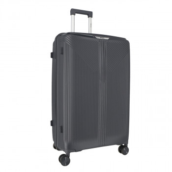 Trolley Case 