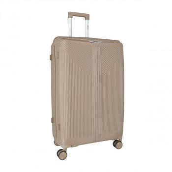 Trolley Case 