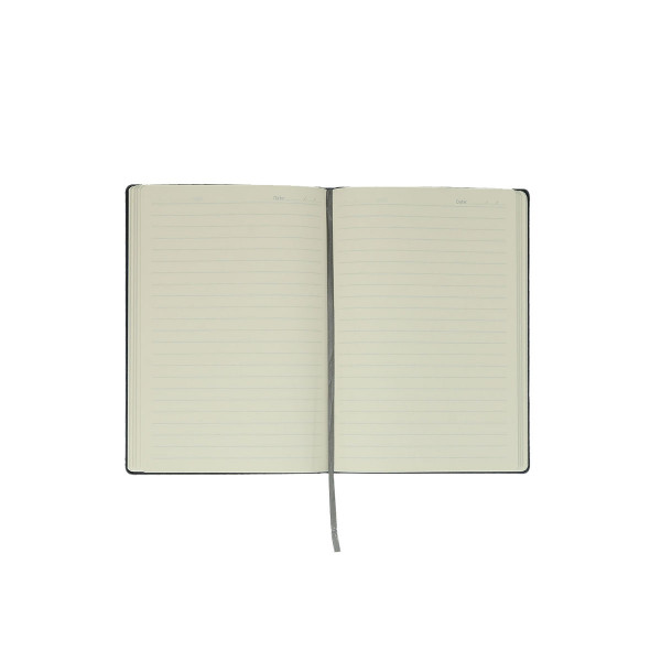 Diary 