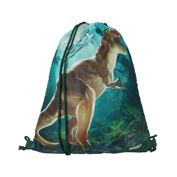 School bag set ''T-REX'' VISION + 5-Pcs (Metal buckle) 