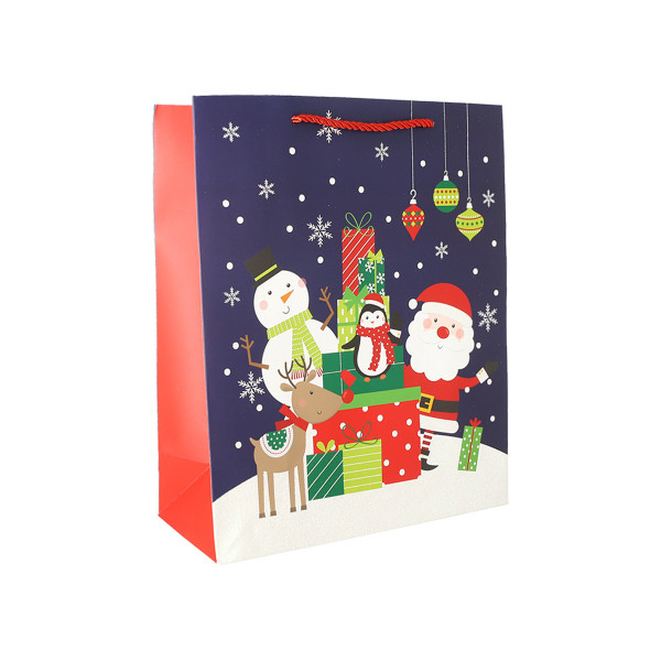 Geschenkatragetaschen 