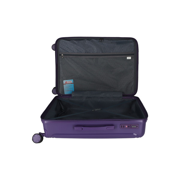 Trolley Case ''Rome 20