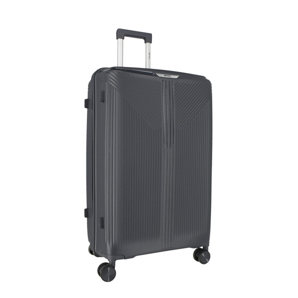 Trolley Case 