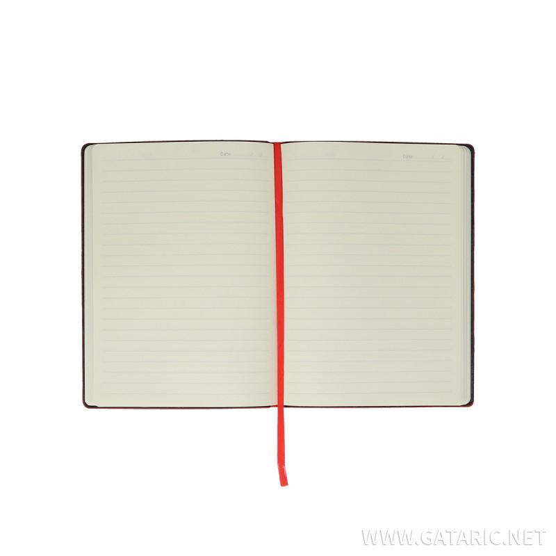 Diary ''MONTE'', B5