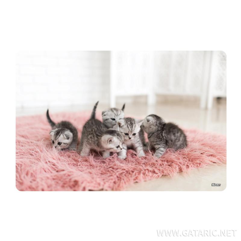 Desk Pad