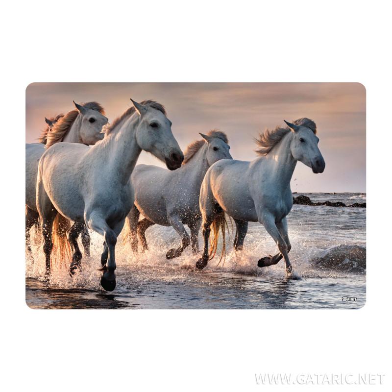 Desk Pad