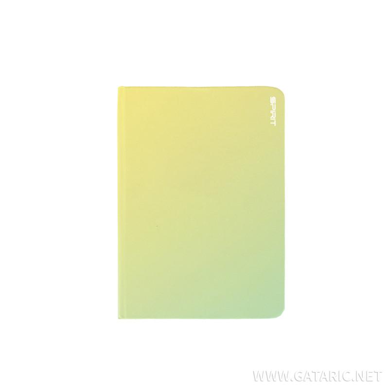 Diary ''FROSTED'' A6