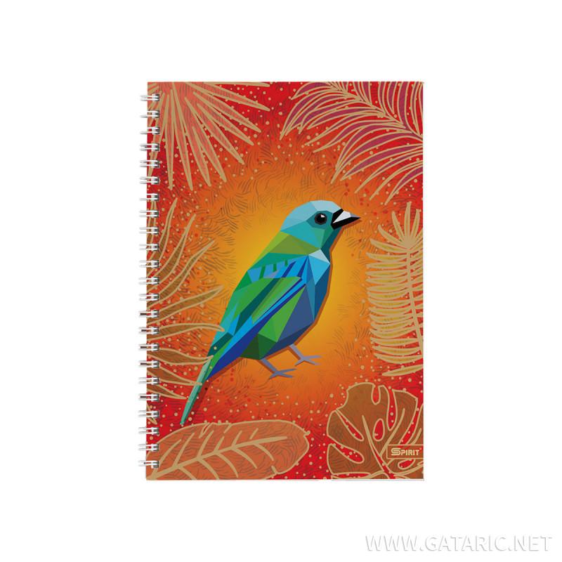 Sveska Fly Fly A5 Meki Povez Karo Gataric International Group ^ sony to premiere balaji's 'itna karo na mujhe pyaar'. gataric international group