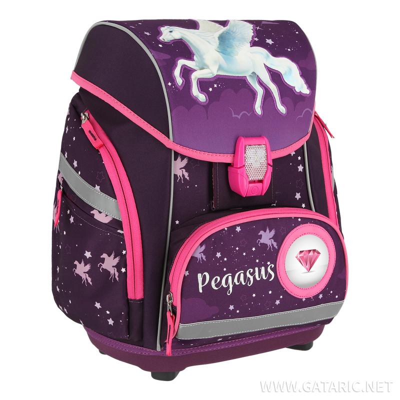 pegasus luggage set